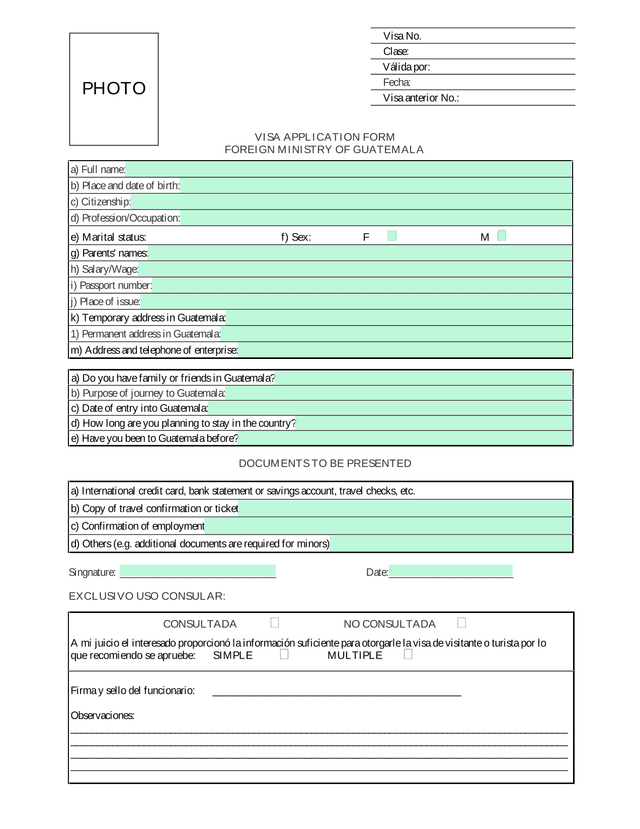 VISA APPLICATION FORM screenshot