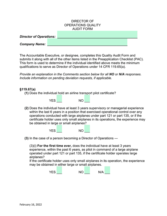 Director Of Operations Quality Audit Form screenshot