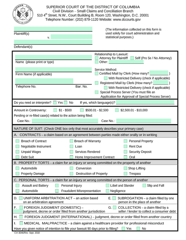 Small Claims Complaint Form screenshot