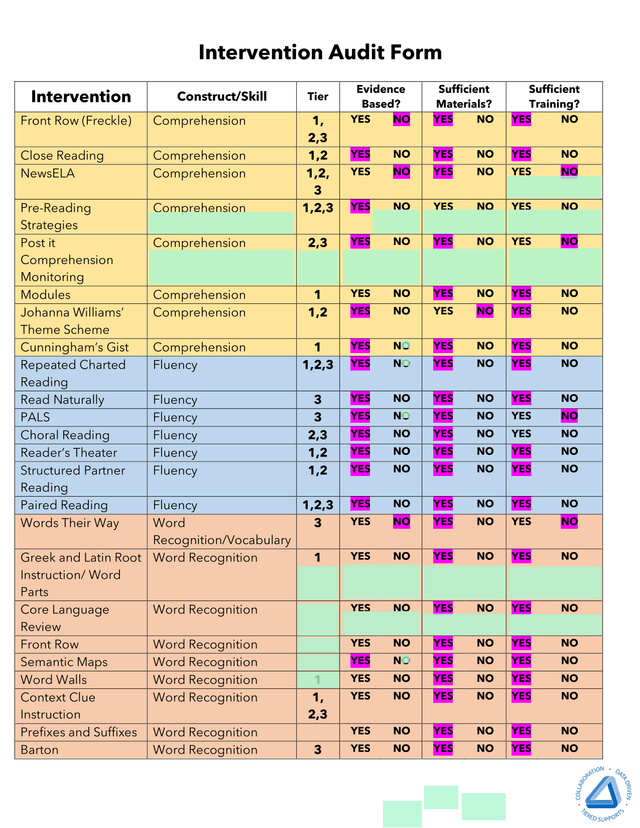 Intervention Audit Form screenshot