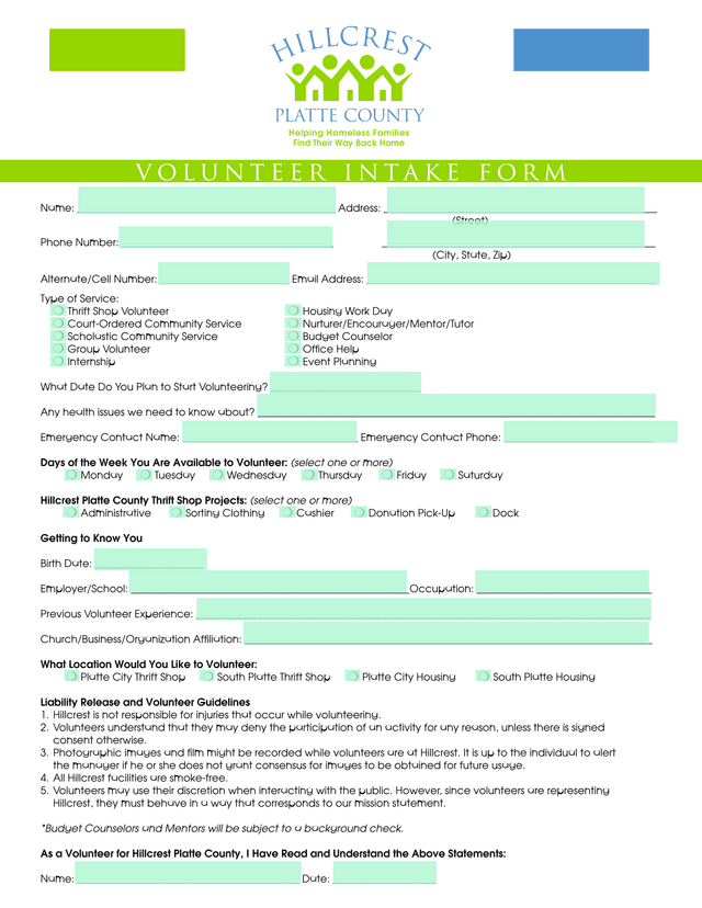 Volunteer Intake Form screenshot