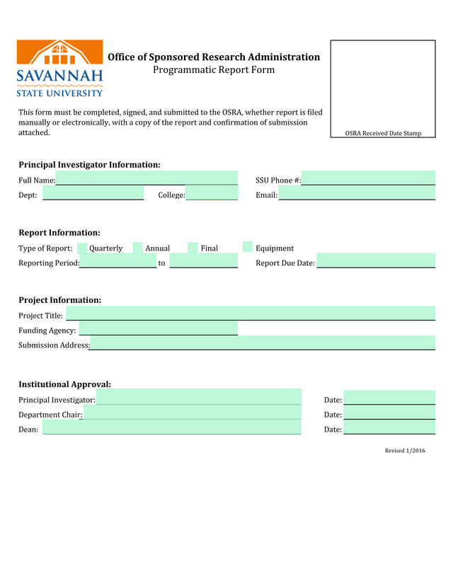 Programmatic Report Form screenshot