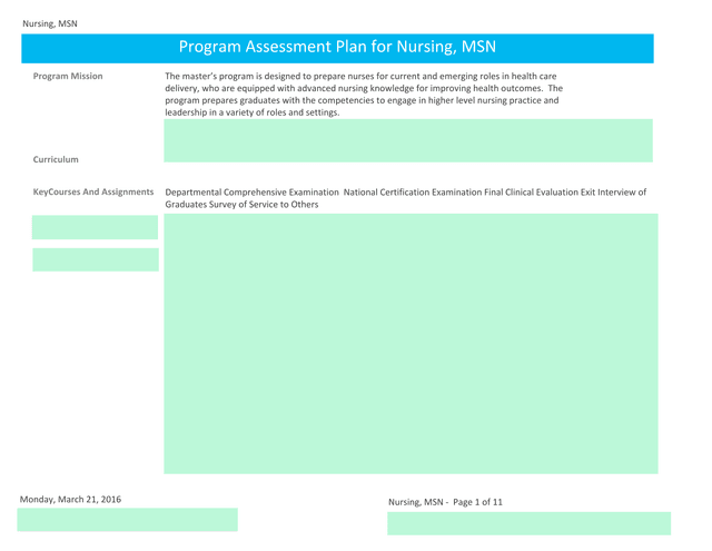 Nursing, MSN Program Assessment Plan screenshot