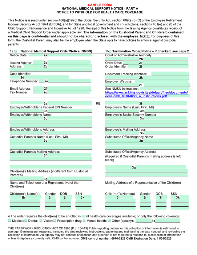 National Medical Support Notice   Part A screenshot