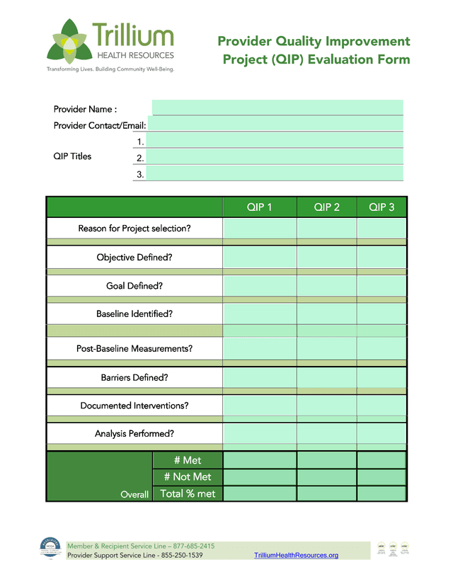 Provider Quality Improvement Project (QIP) Evaluation Form screenshot