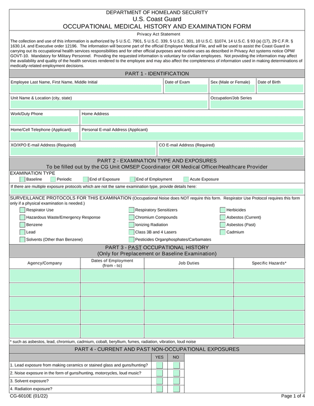 OCCUPATIONAL MEDICAL HISTORY AND EXAMINATION FORM screenshot