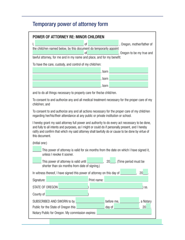 Temporary Power Of Attorney RE Minor Children screenshot