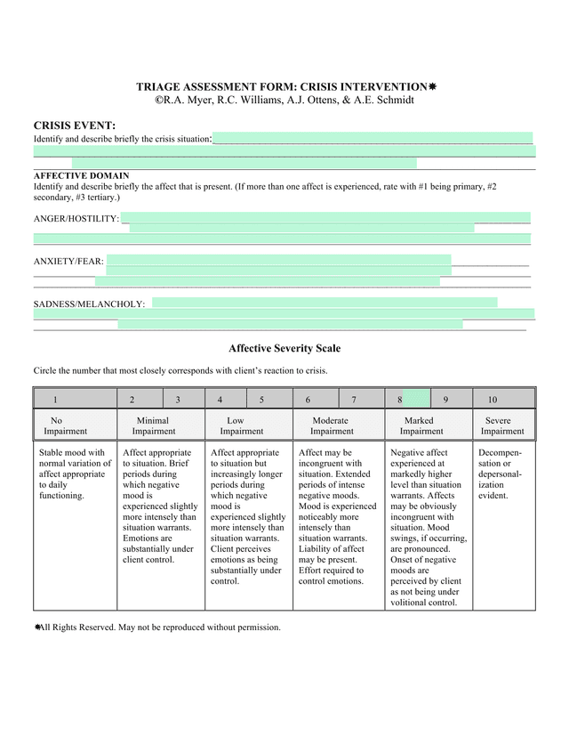 TRIAGE ASSESSMENT FORM CRISIS INTERVENTION screenshot
