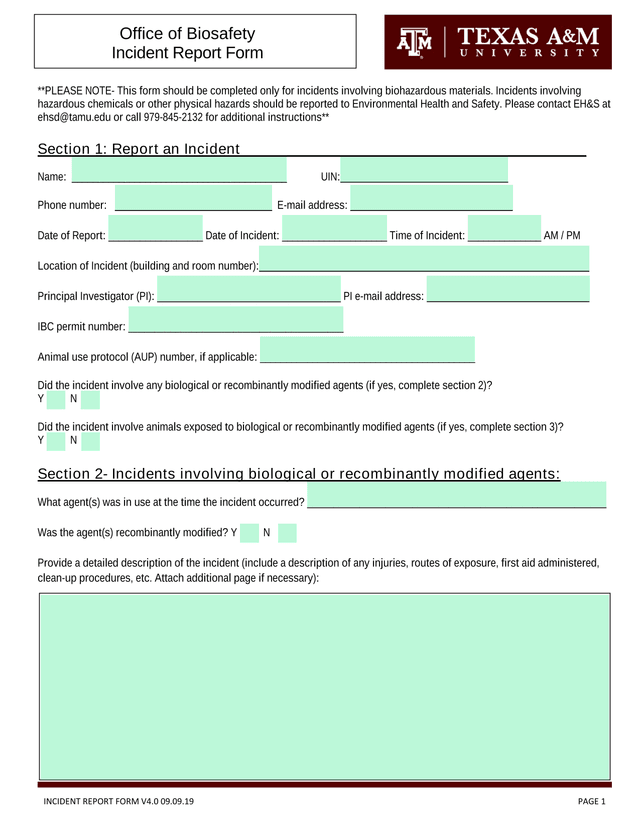 Incident Report Form screenshot