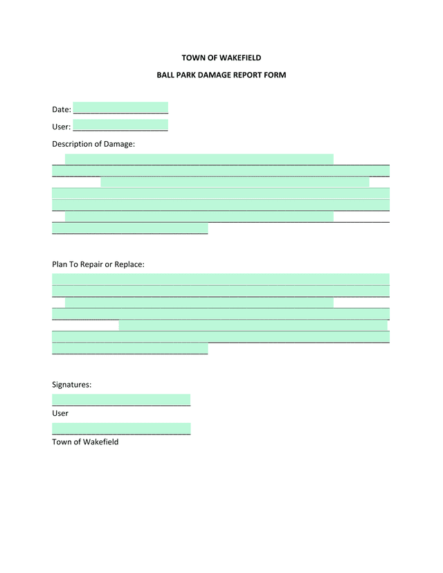 Ball Park Damage Report Form screenshot