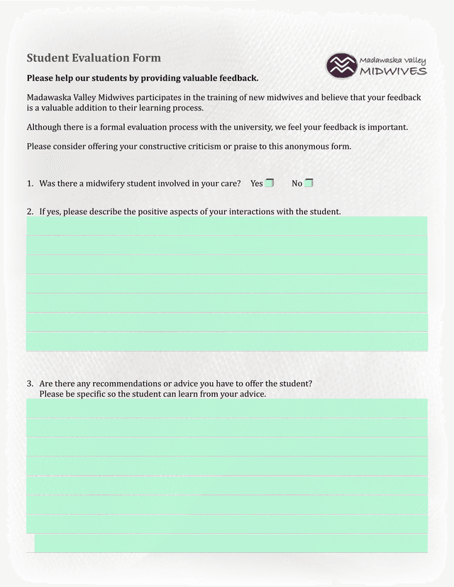 Student Evaluation Form screenshot