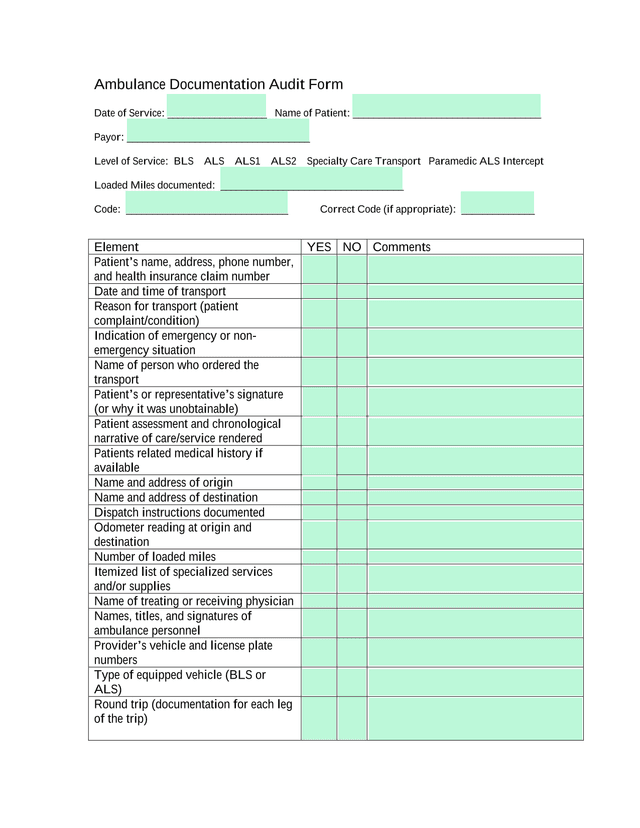 Ambulance Documentation Audit Form screenshot