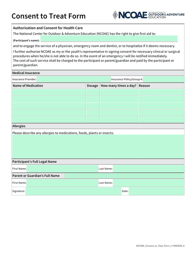 Authorization And Consent For Health Care screenshot
