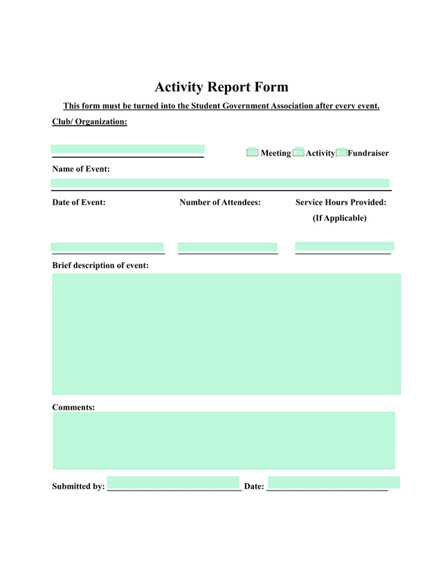 Activity Report Form screenshot