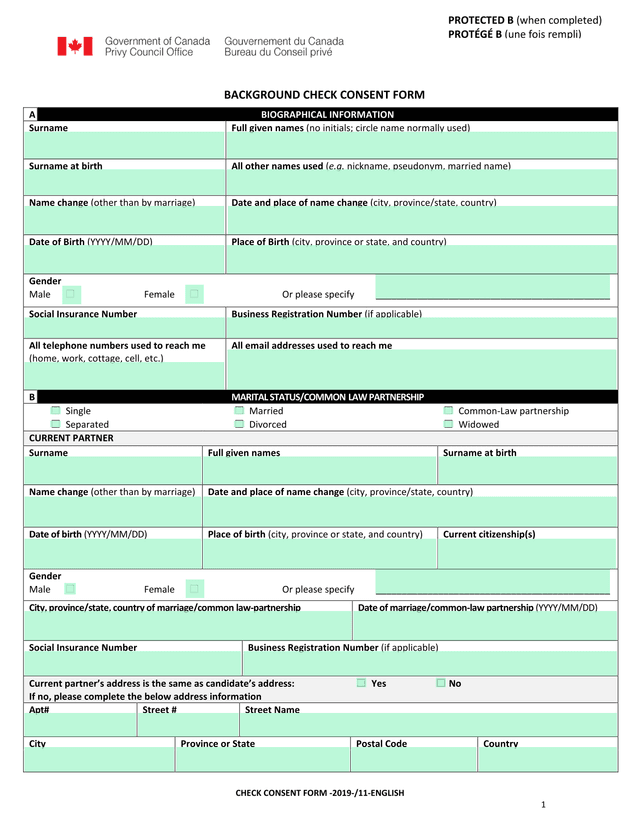 Background Check Consent Form screenshot