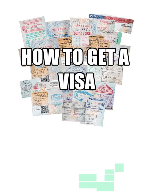 How To Get A Visa For Argentina screenshot