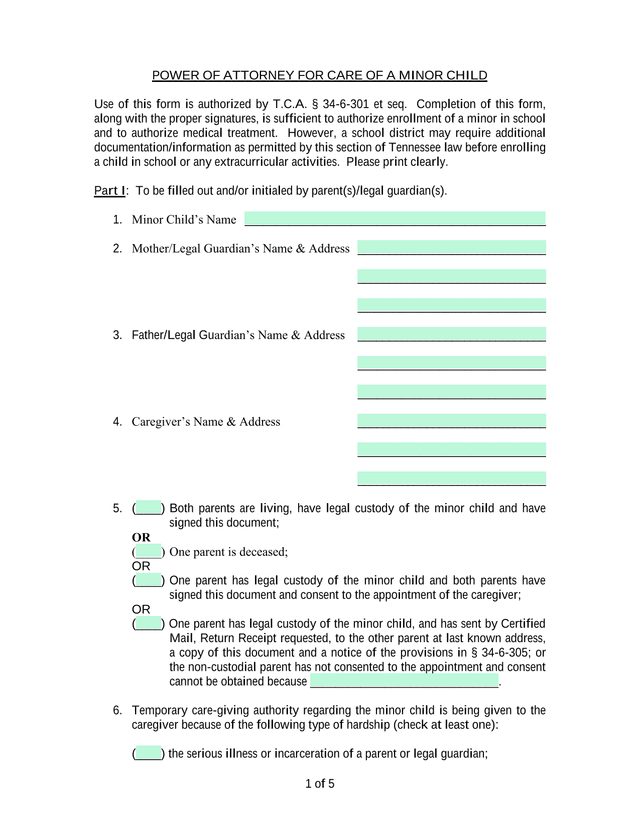 Power Of Attorney For Care Of A Minor Child screenshot