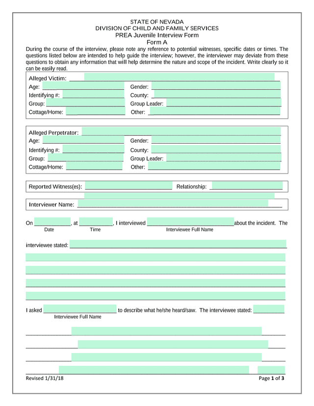 PREA Juvenile Interview Form screenshot