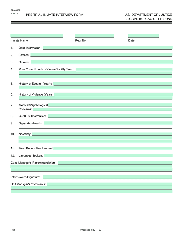 PRE TRIAL INMATE INTERVIEW FORM screenshot