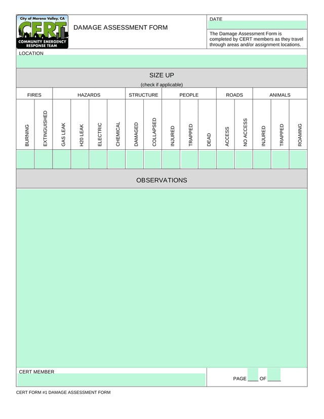DAMAGE ASSESSMENT FORM screenshot