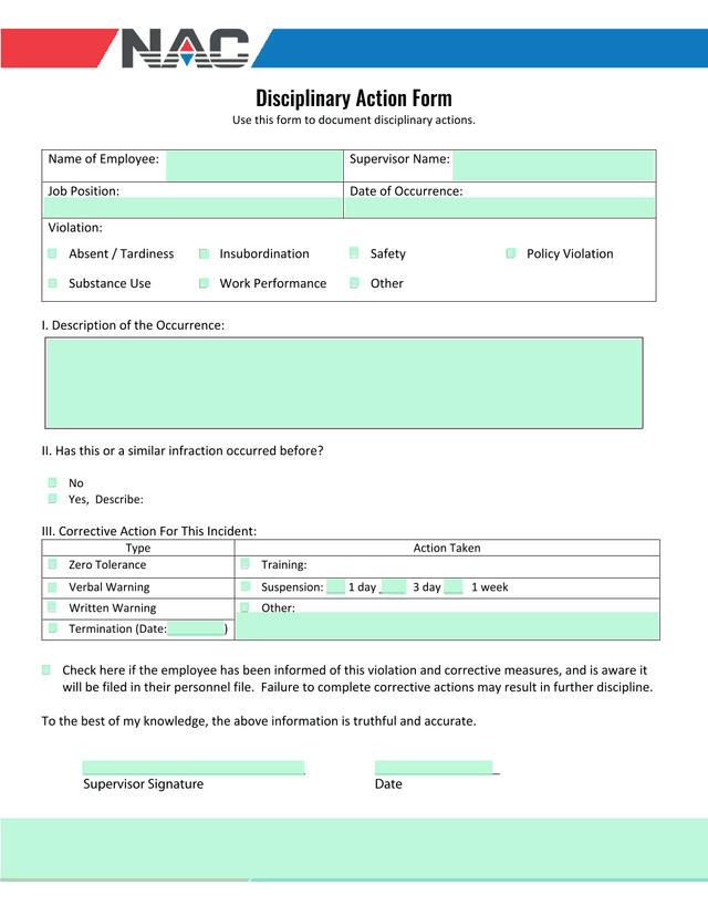 Disciplinary Action Form screenshot