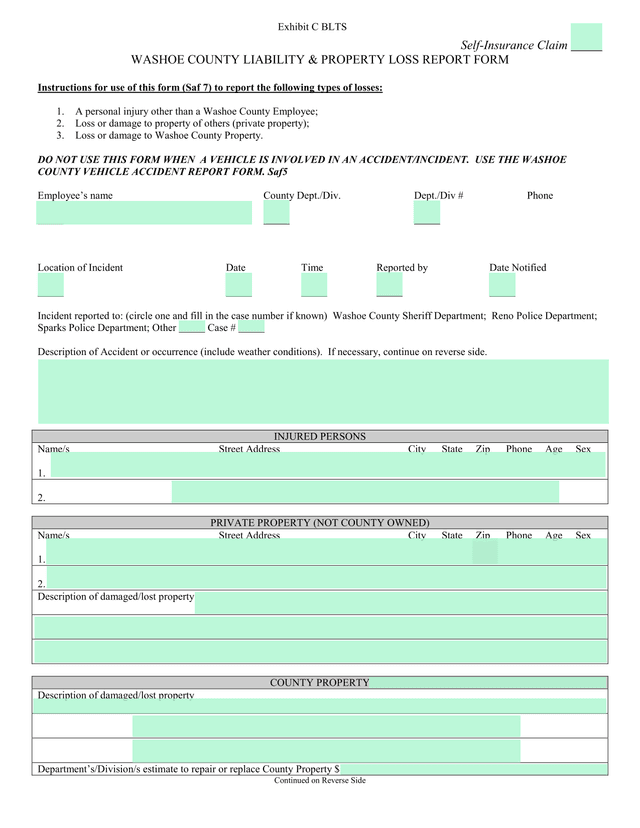 Washoe County Liability  Property Loss Report Form screenshot