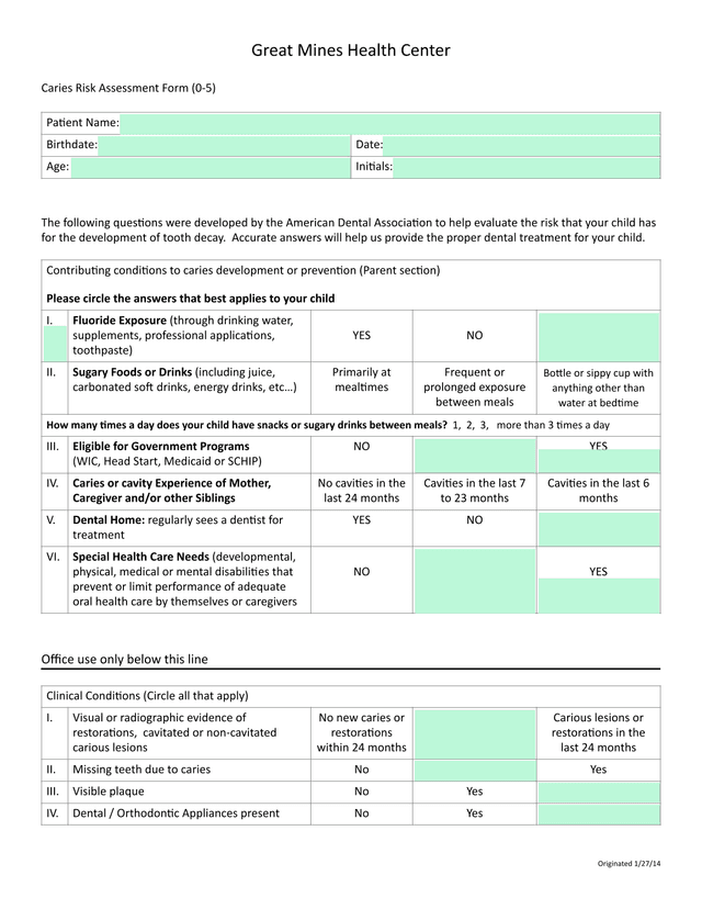 Caries Risk Assessment Form (0 5) screenshot