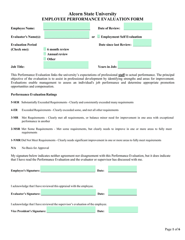 Employee Performance Evaluation Form screenshot