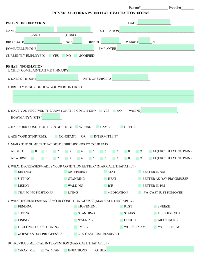 PHYSICAL THERAPY INITIAL EVALUATION FORM screenshot