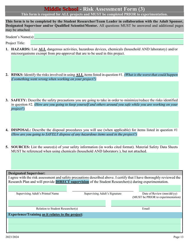 Risk Assessment Form (3) screenshot