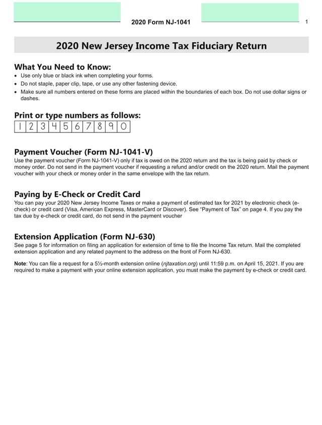 2020 Form NJ 1041 New Jersey Income Tax Fiduciary Return screenshot