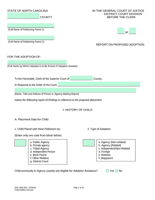 DSS 1808 Report On Proposed Adoption screenshot