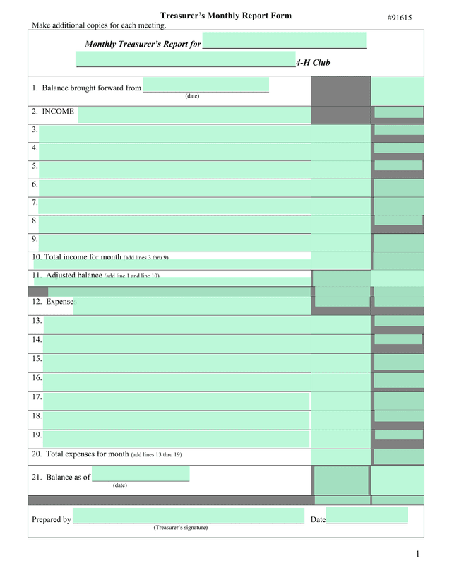 TreasurerS Monthly Report Form screenshot