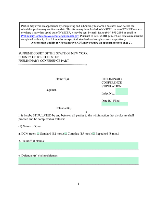 Preliminary Conference Stipulation screenshot