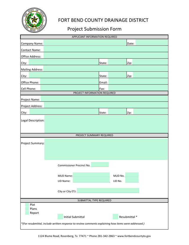 Project Submission Form screenshot