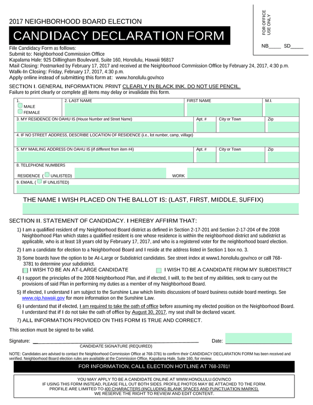2017 Neighborhood Board Election Candidacy Form screenshot