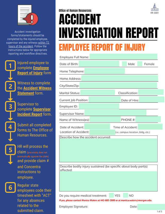 Accident Investigation Report screenshot