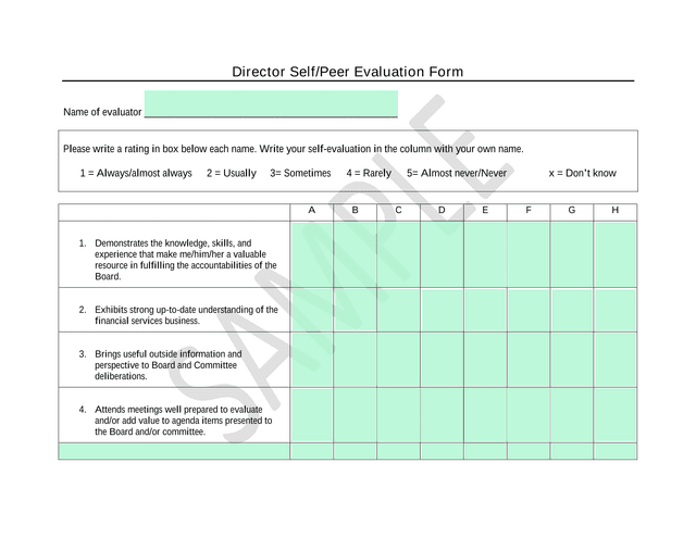 Director SelfPeer Evaluation Form screenshot