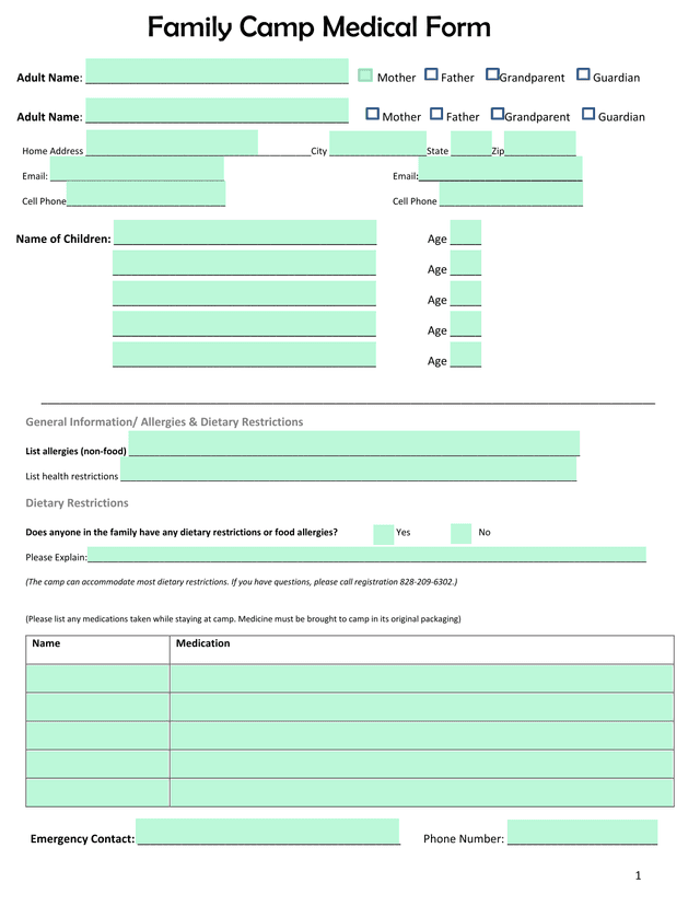 Family Camp Medical Form screenshot