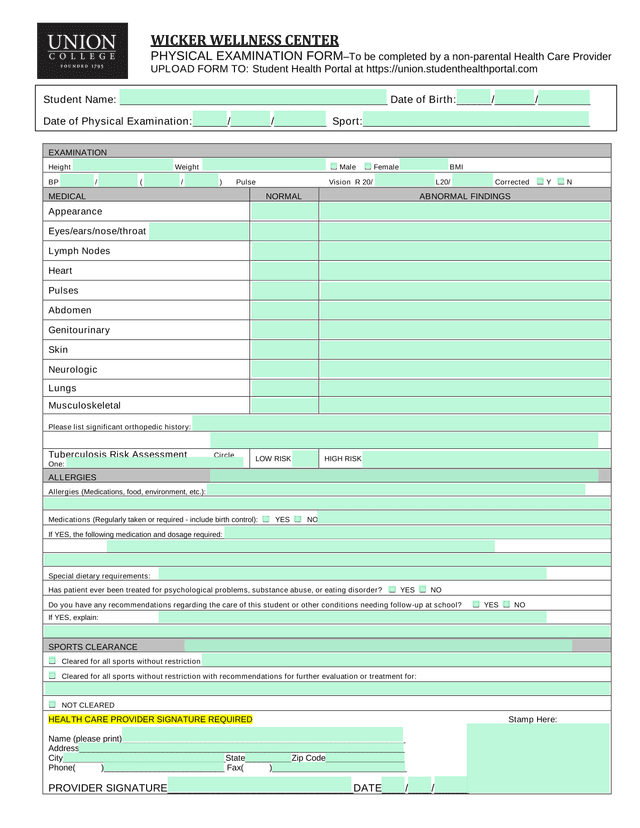 Physical Examination Form screenshot