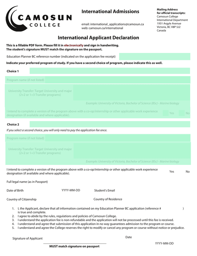 International Applicant Declaration screenshot