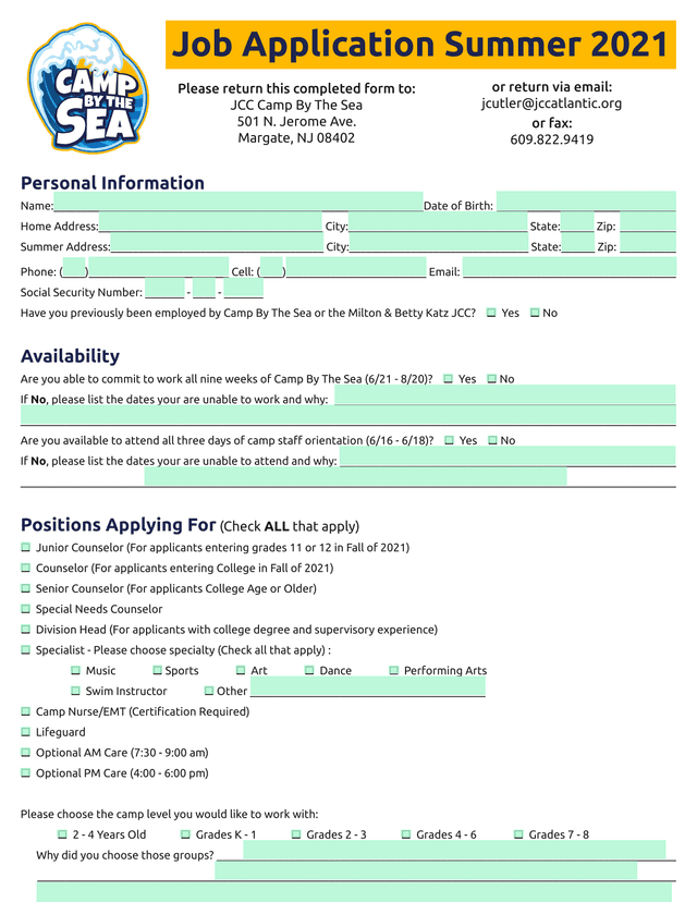 Job Application Summer 2021 screenshot
