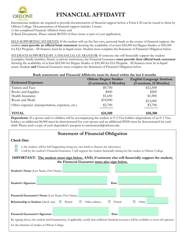 Financial Affidavit screenshot