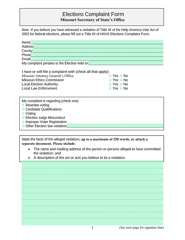 Elections Complaint Form screenshot