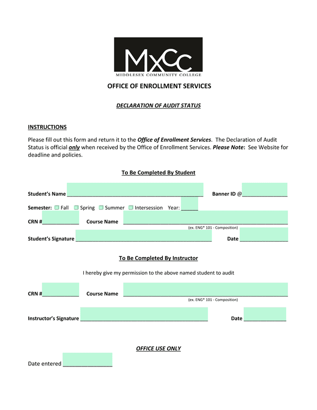 Declaration Of Audit Status screenshot