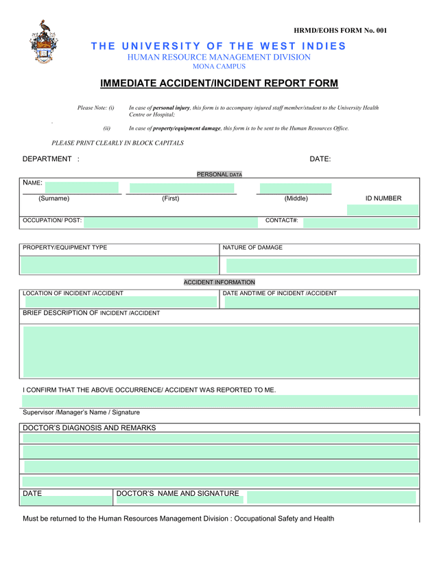 IMMEDIATE ACCIDENTINCIDENT REPORT FORM screenshot
