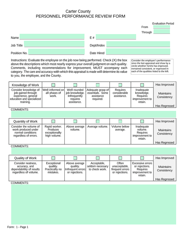 Carter County PERSONNEL PERFORMANCE REVIEW FORM screenshot