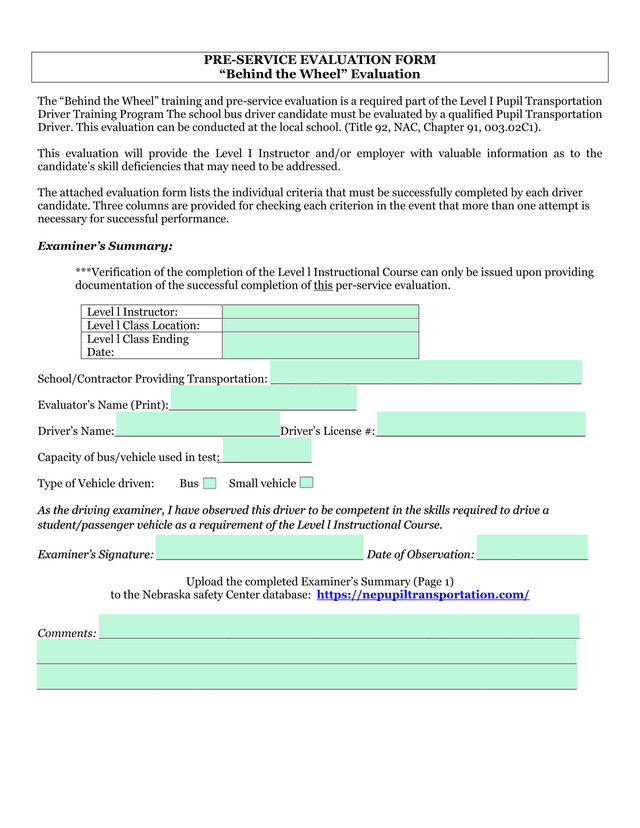PRE SERVICE EVALUATION FORM Behind The Wheel Evaluation screenshot