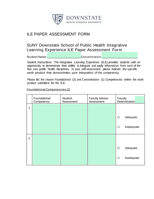 ILE Paper Assessment Form screenshot