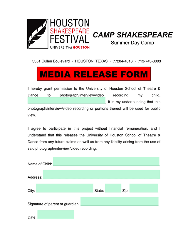 Media Release Form screenshot